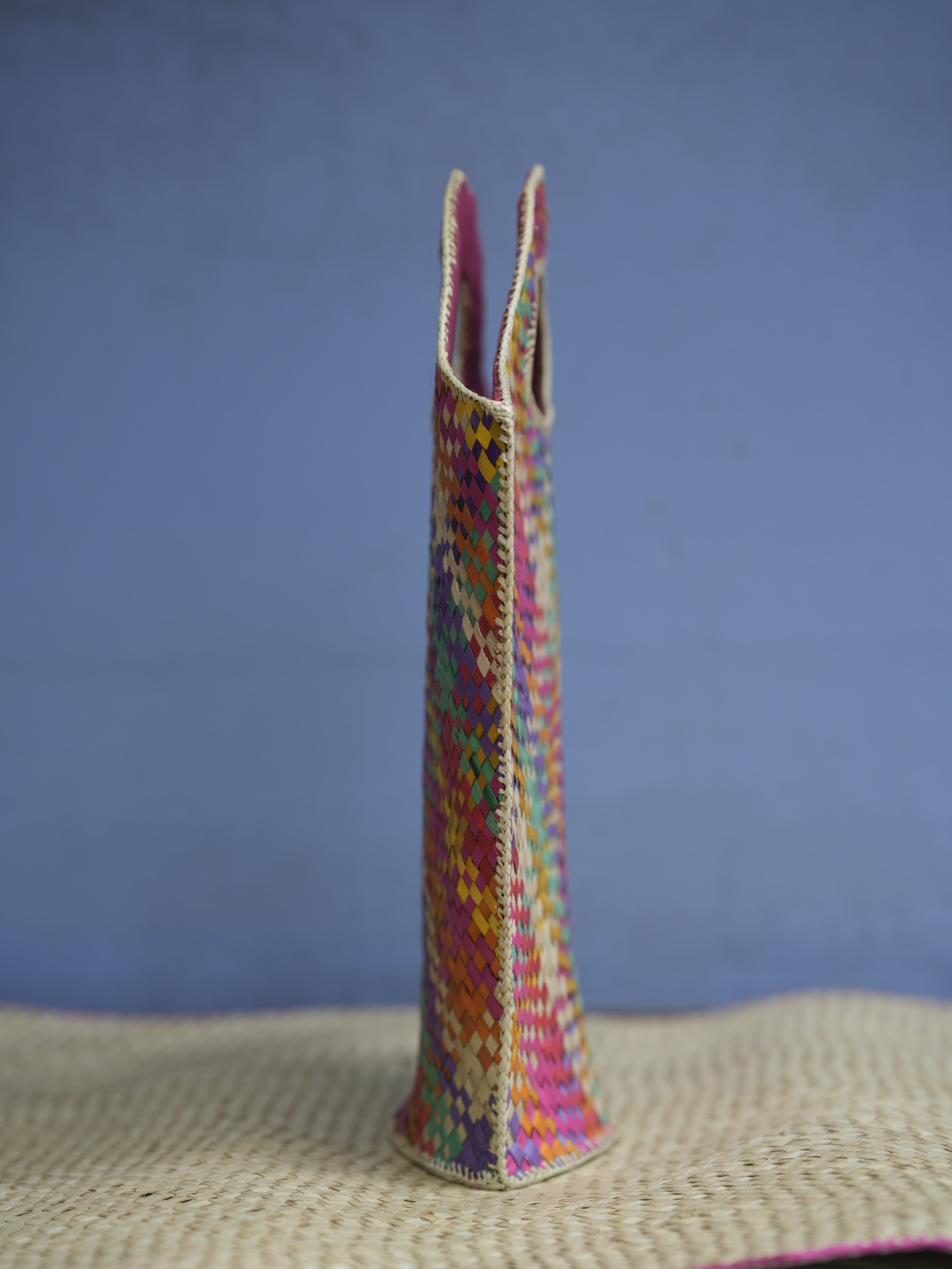 Multicolour Screwpine Bag