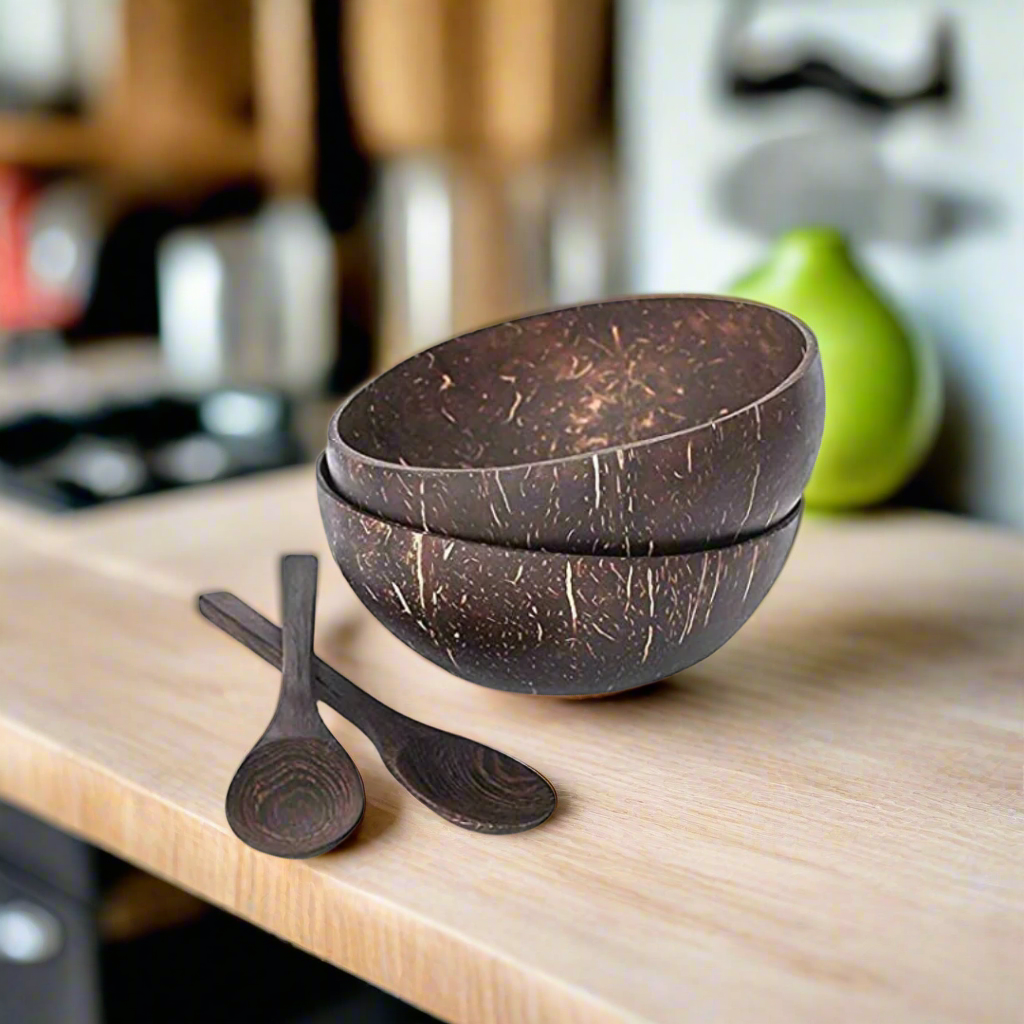 Coconut Shell Bowl set with spoon