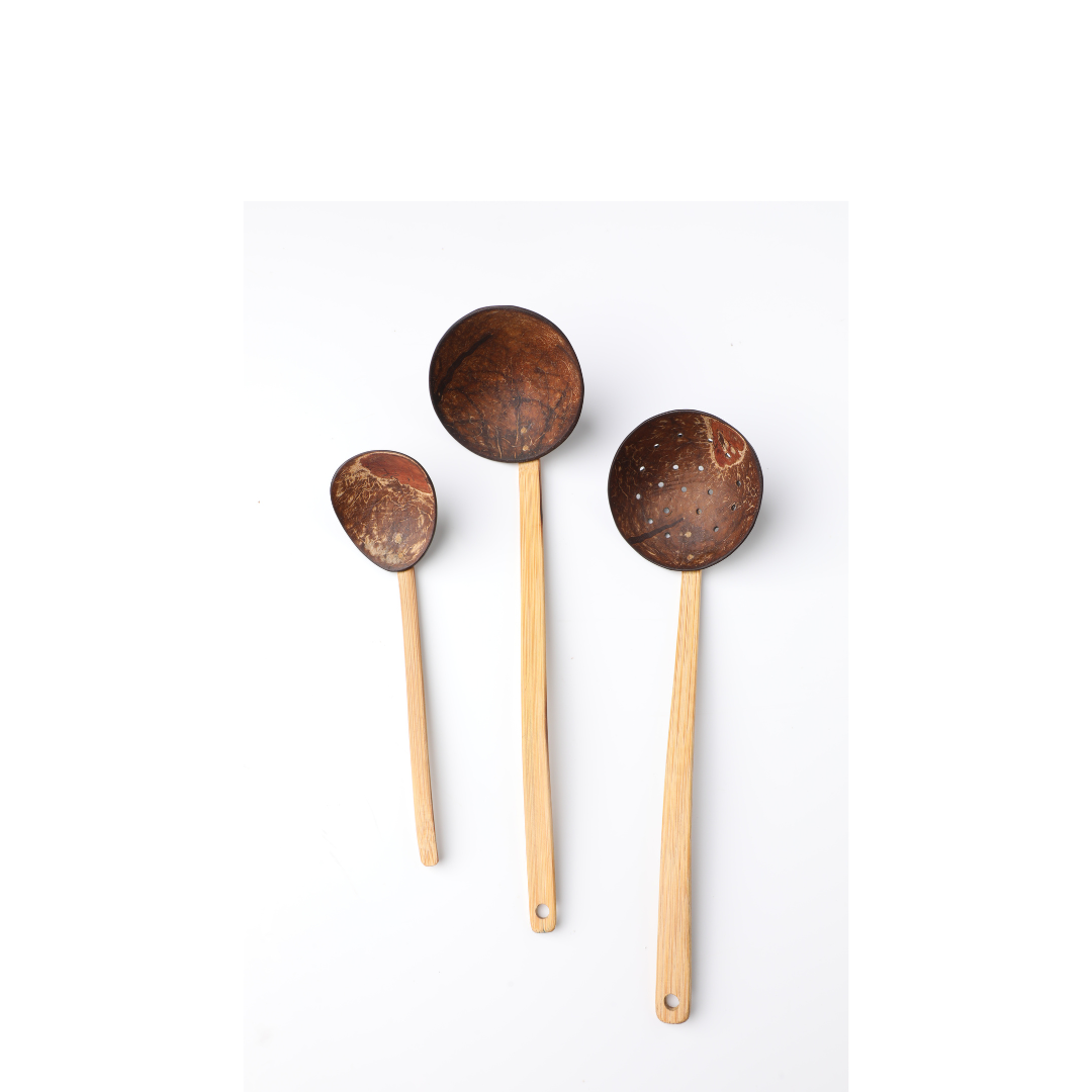 Coconut Spoon Set