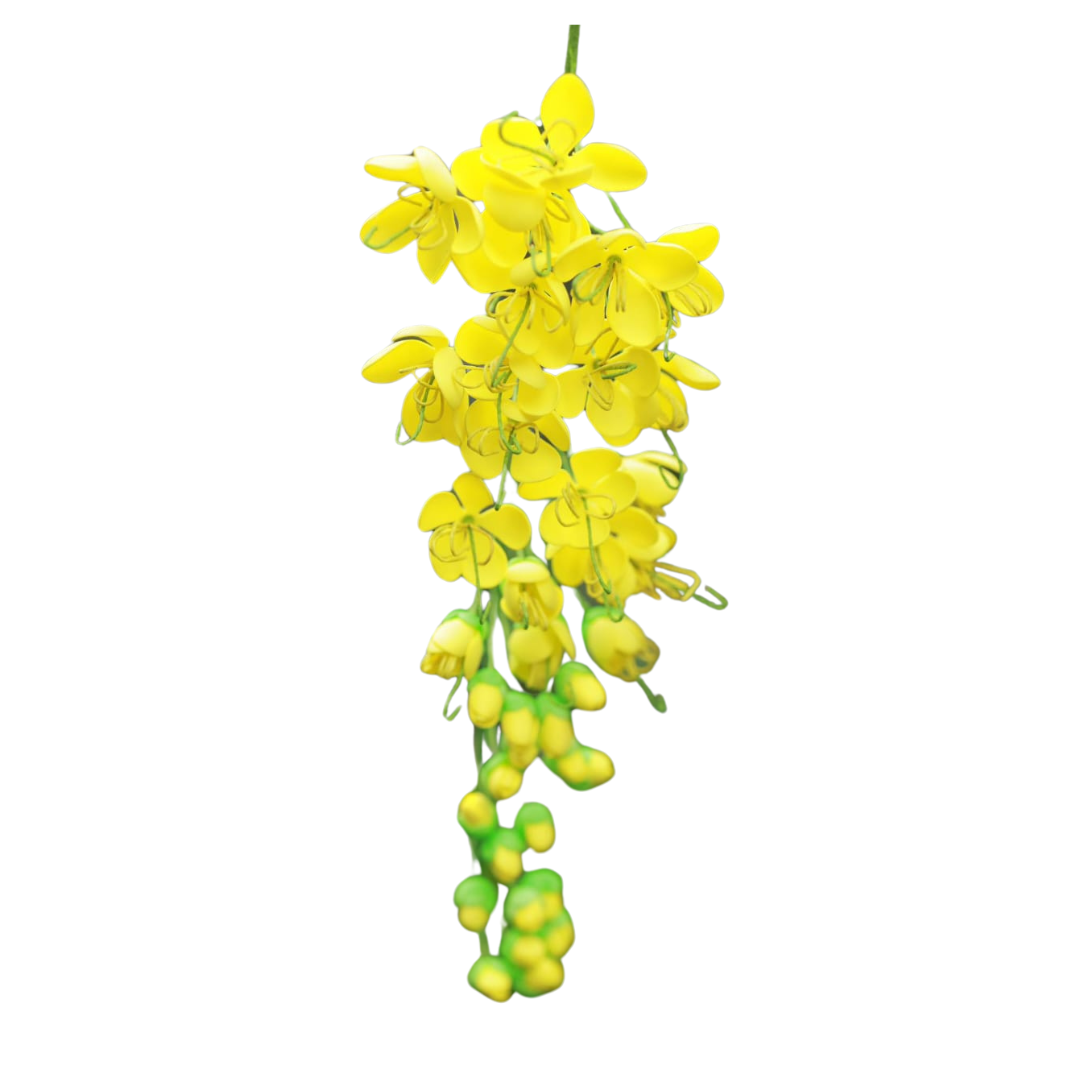 Vishu Kanikonna