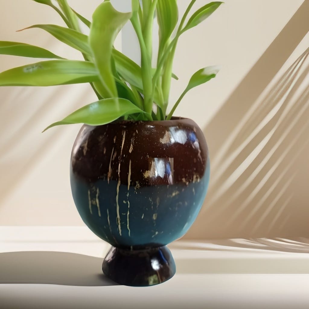 Coconut Shell Planter