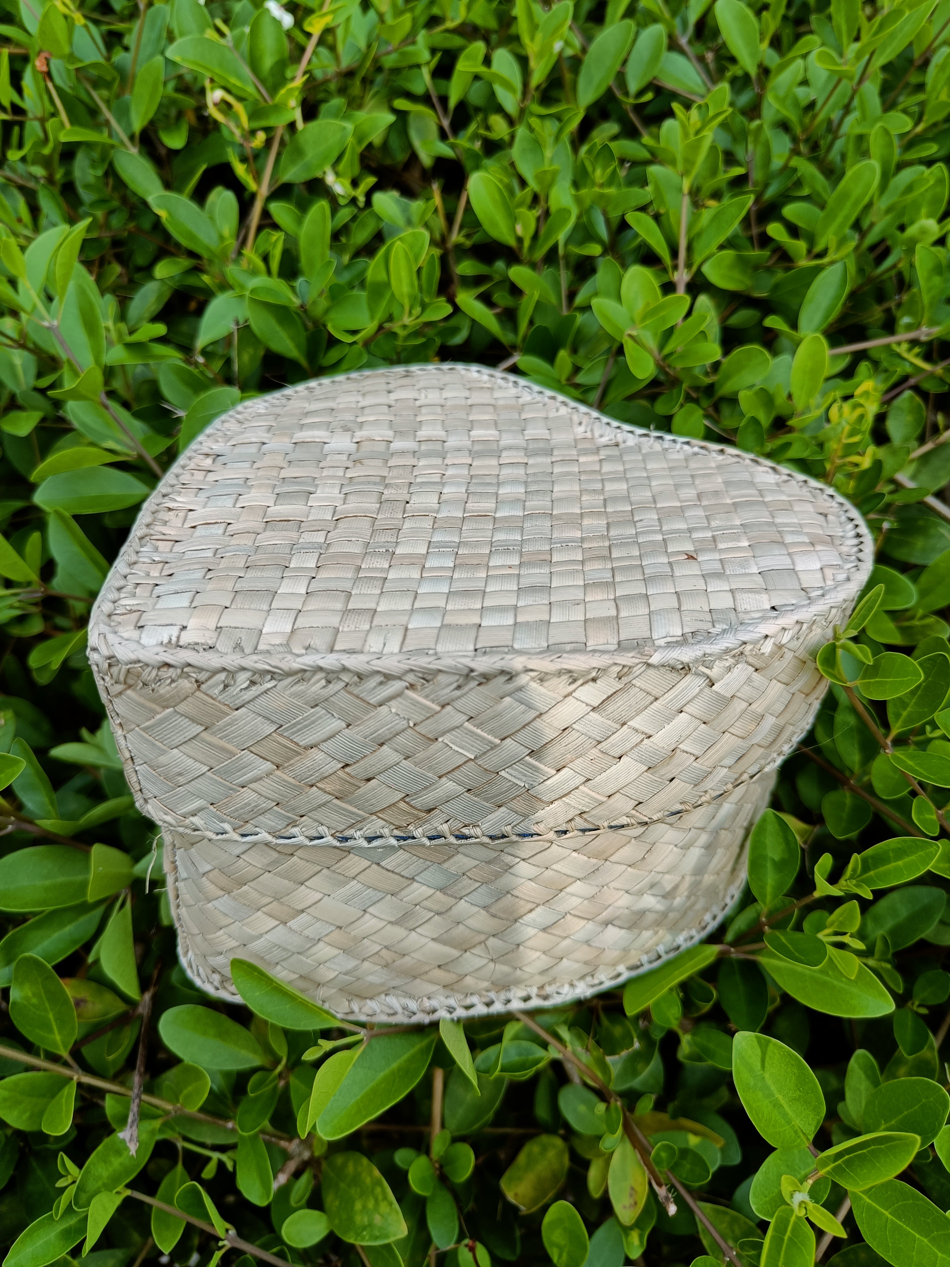Screwpine Heart shaped box