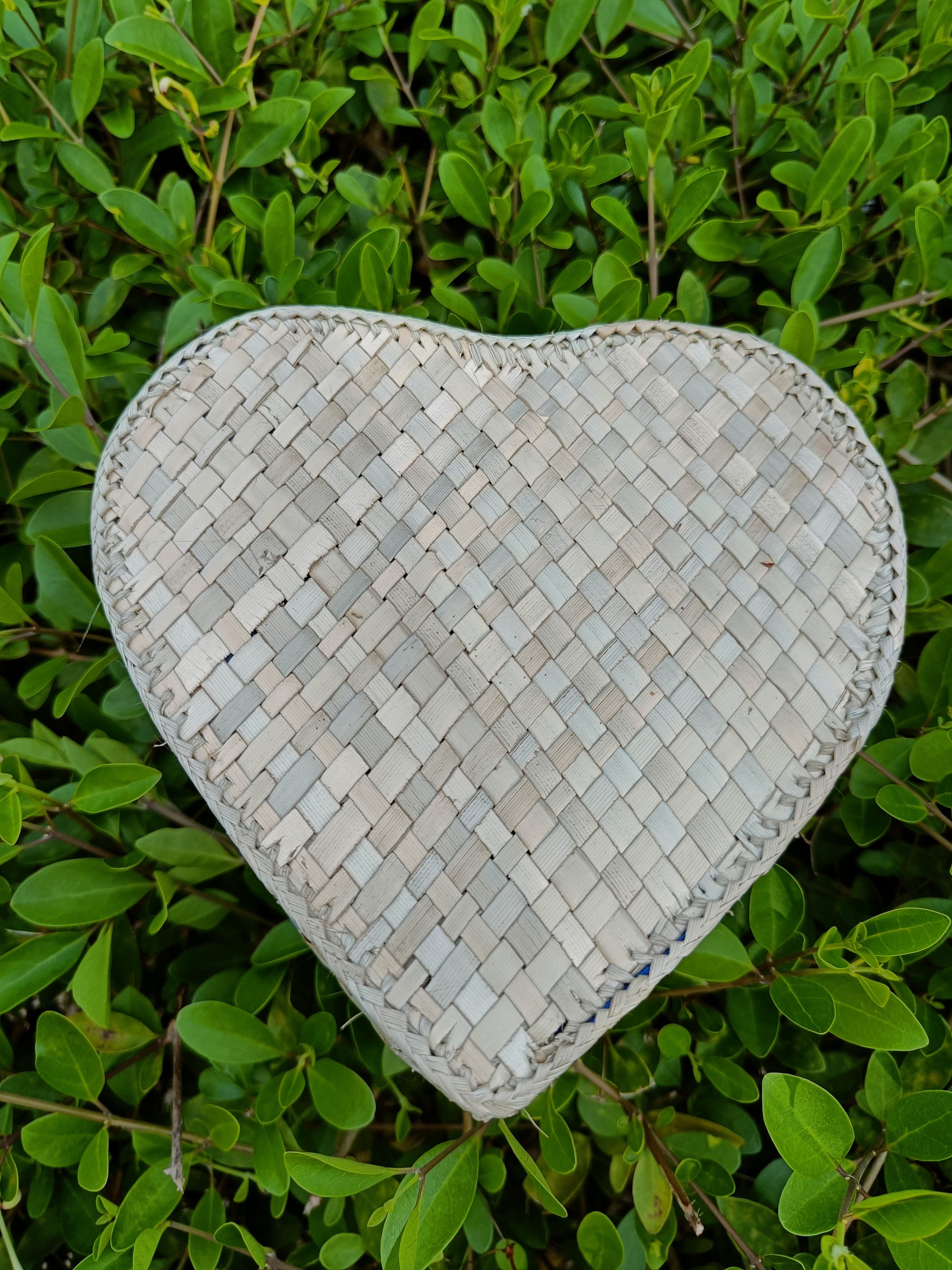 Screwpine Heart shaped box