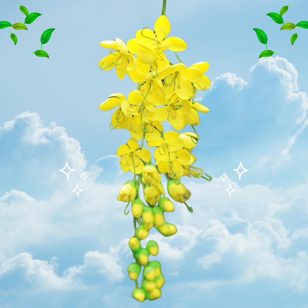 Vishu Kanikonna