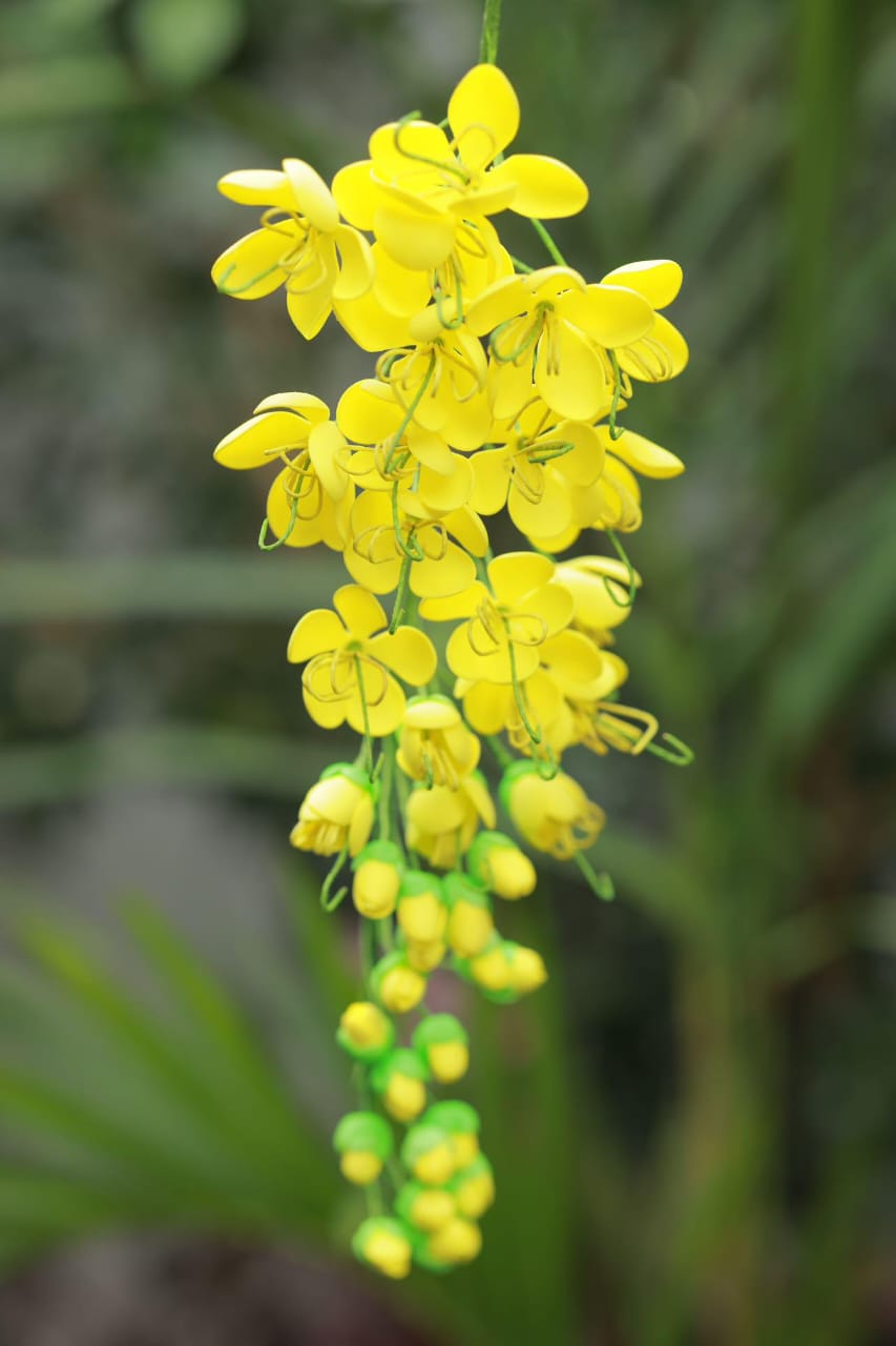 Vishu Kanikonna