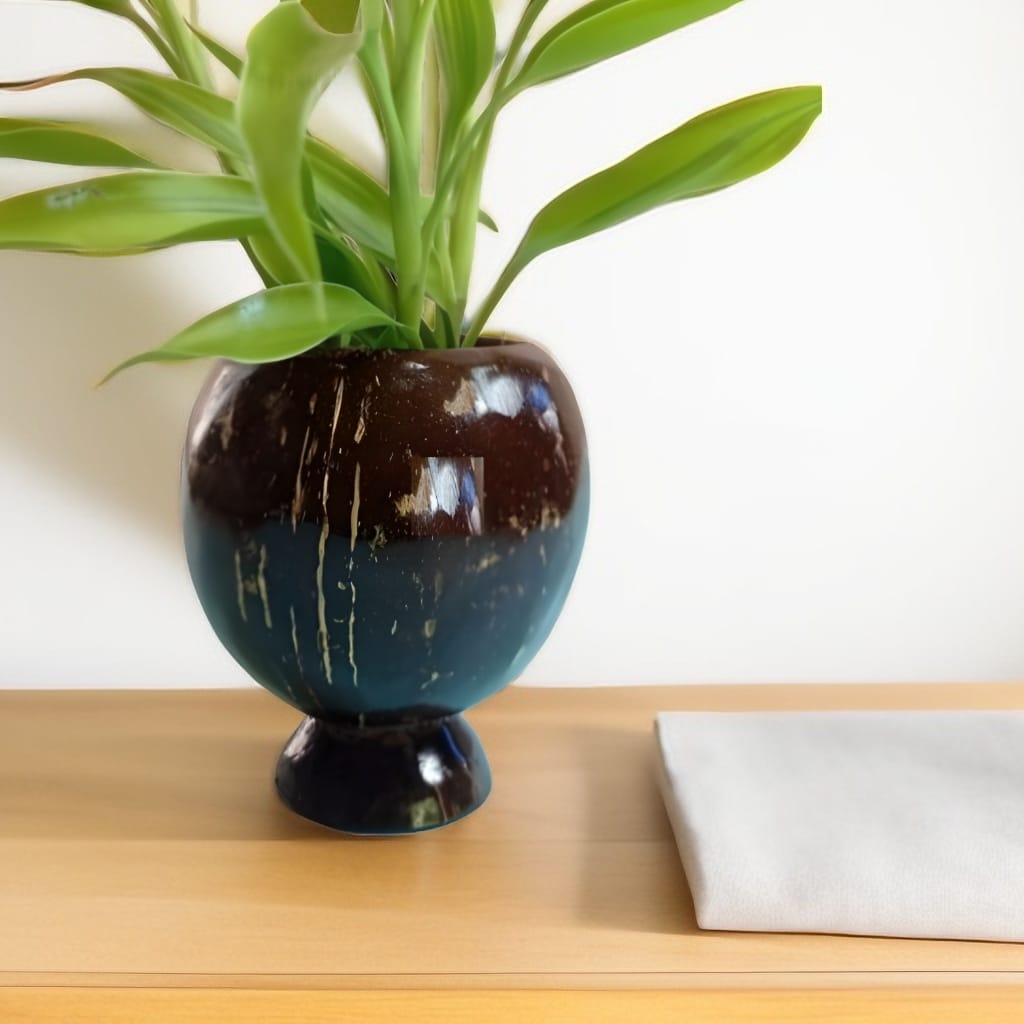 Coconut Shell Planter